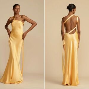 NWT Arcina Ori Monique Dress